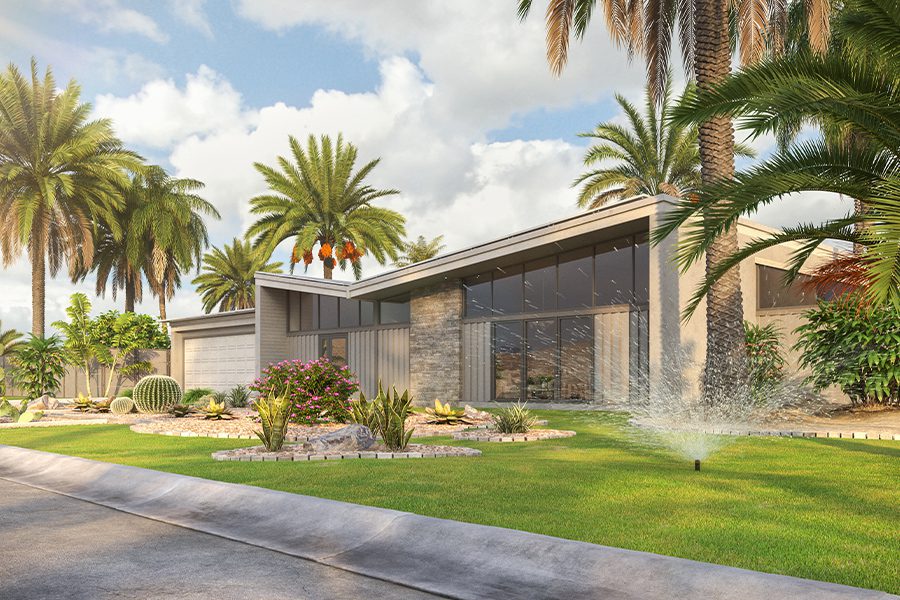 Anaheim Hills, CA - Modern House in Desert California Environment with Palms Trees